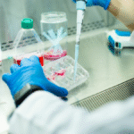 Stem cell therapy in Clearwater Florida