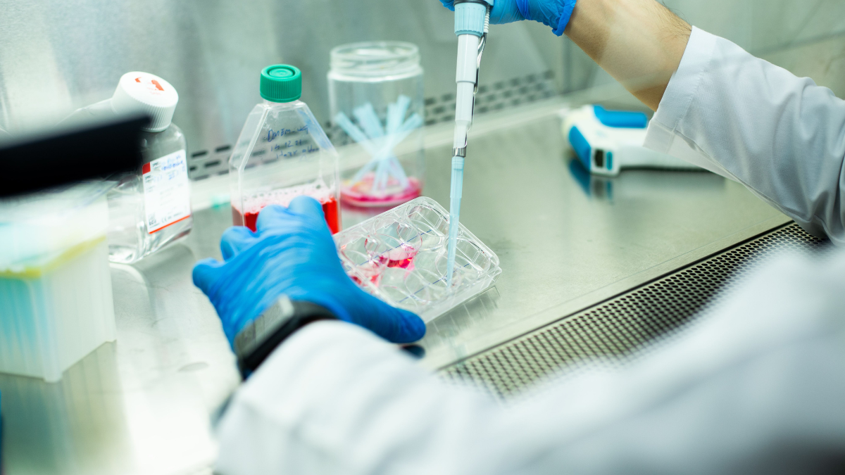 Stem cell therapy in Clearwater Florida