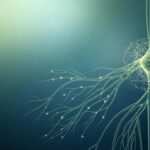 Revitalize Nerve Health Non-Surgically